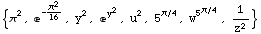 {π^2, ^(-π^2/16), y^2, ^y^2, u^2, 5^(π/4), w^5^(π/4), 1/z^2}