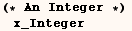 (* An Integer *)x_Integer 